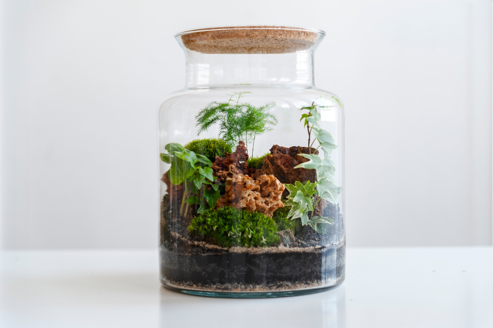 Beautiful jar with live forest with self ecosystem, terrarium, forest in a jar